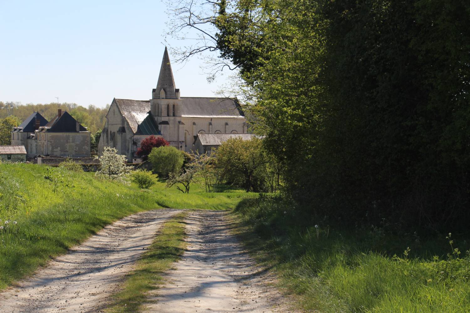Cizay-la-Madeleine (49) église Saint-Denis - La Sauvegarde de l'Art Français