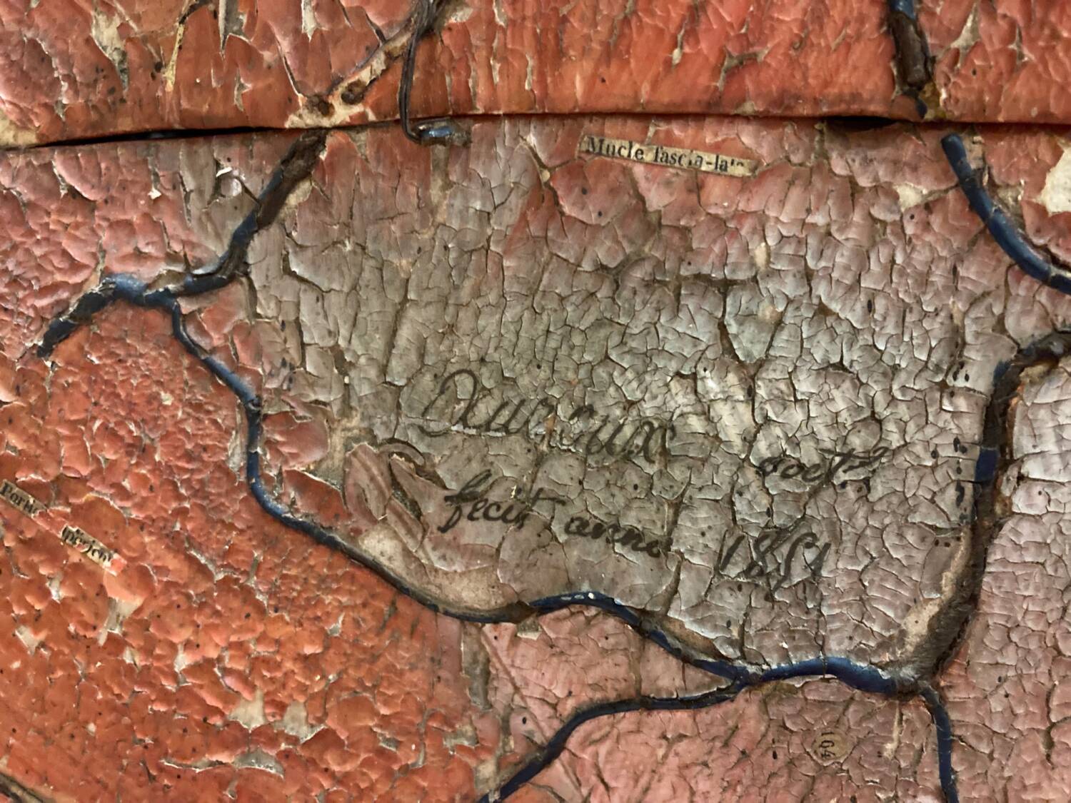 Rennes (35), institut agro Rennes-Angers - cheval anatomique - Sauvegarde de l'Art français - Plus Grand Musée de France