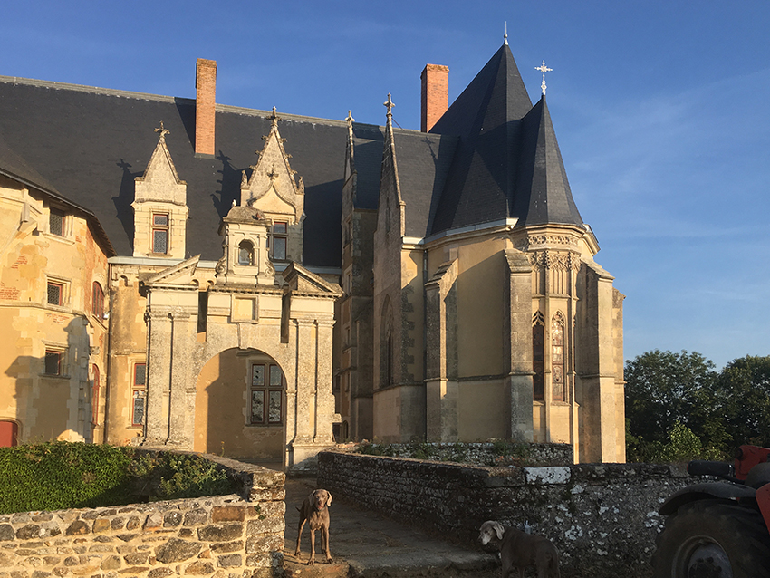 Viré-en-Champagne (72) Chapelle du Château