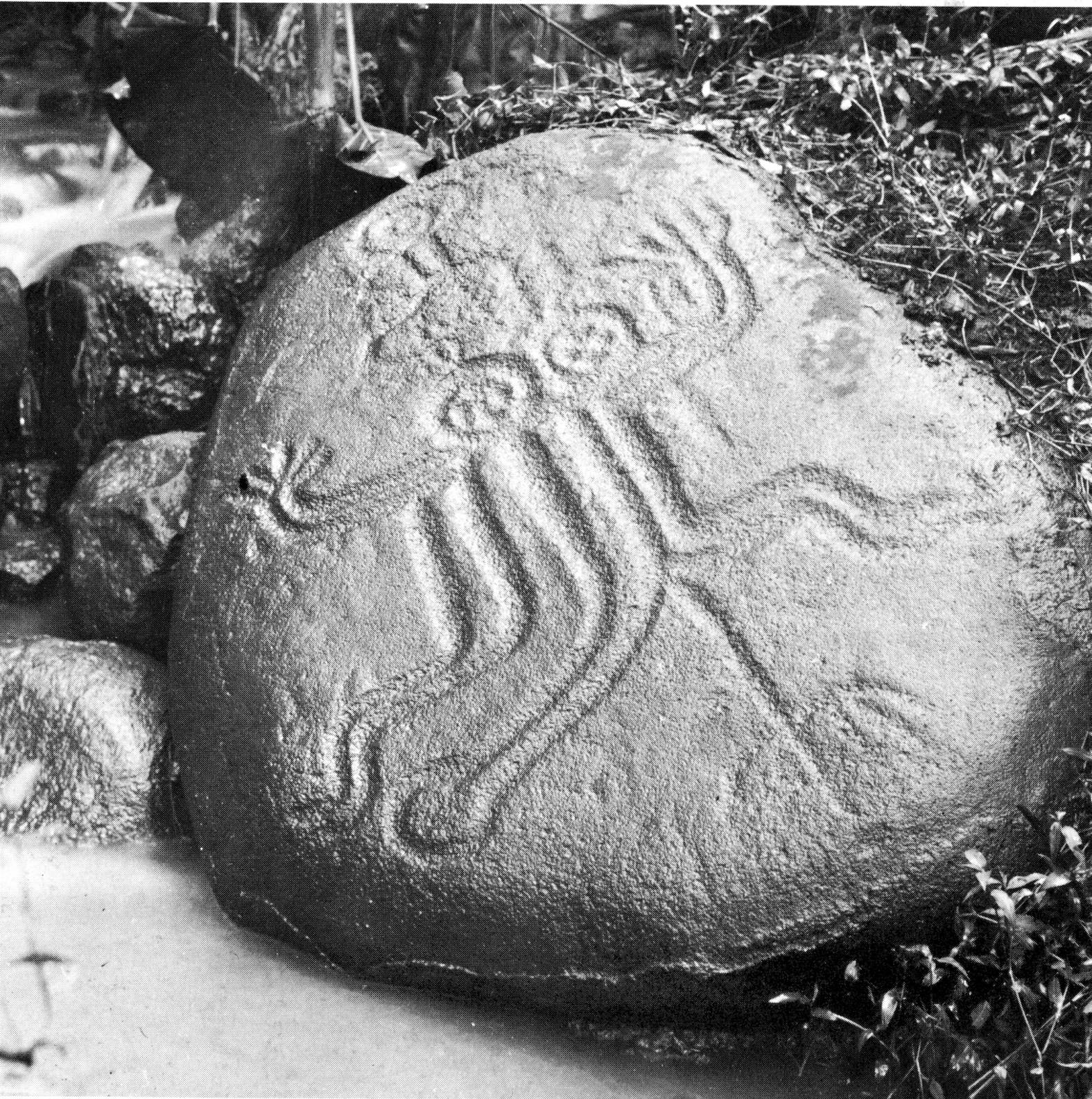 Punaauia (Polynésie-Française), pétroglyphe polynésien - Sauvegarde de l'Art français - Plus Grand Musée de France