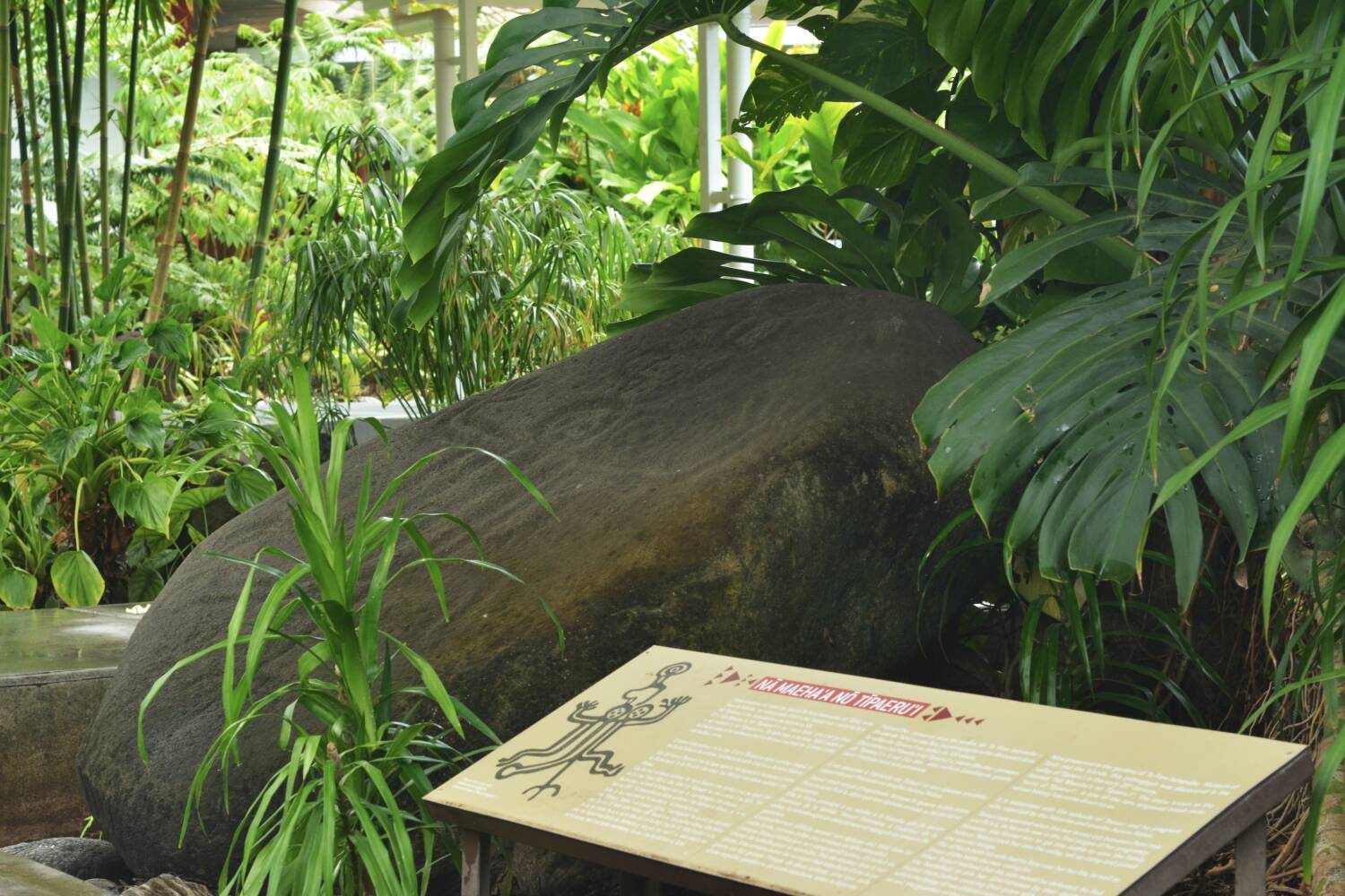 Punaauia (Polynésie-Française), pétroglyphe polynésien - Sauvegarde de l'Art français - Plus Grand Musée de France